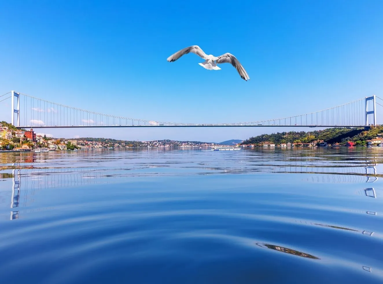 How to Spend Time During Dental Treatment in Istanbul?